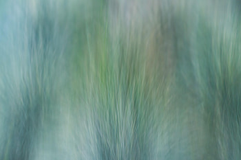 Abstract, Grass, Distortion, Wind HD wallpaper