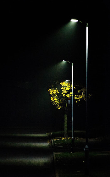 : streetlight, mist, road light, scene, autumn, outdoor, night, Street Scene HD phone wallpaper