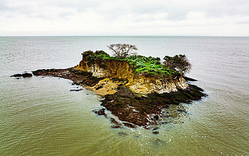Rat Rock Island, Marin County, California, trees, sea, sky, usa HD wallpaper