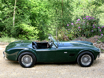 Nature, Cobra, Cars, Car, Side View, Retro, Ac HD wallpaper