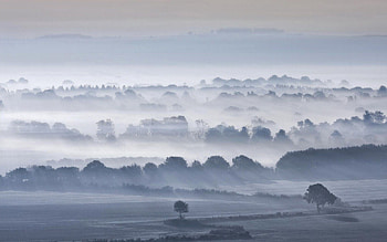 Nature, Trees, Sky, Fog, Valley HD wallpaper