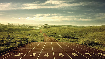 Fields, Background, Roads HD wallpaper