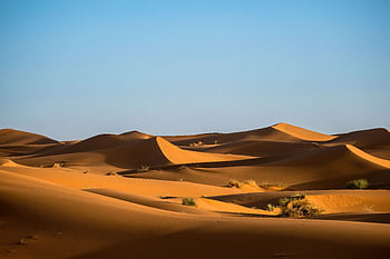 Scenic view of Sahara Desert sand dunes in Morocco showcasing natural beauty and tranquility. HD wallpaper