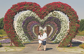 A couple embracing in a vibrant flower garden in Dubai, featuring heart-shaped floral arches. HD wallpaper