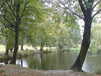 The Forest Lake, natural, time, spring, beauty, poland, time, flower, , break, autumn, water, time, deskop autumn, duck, bird, polska, lake, park, gose, time, green, leaf, forest HD wallpaper