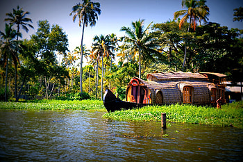 Kerala trip, 7 nights and 8 days, Backpacking adventure, Unforgettable memories HD wallpaper