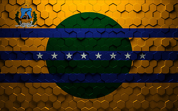 Flag of Bolivar State, honeycomb art, Bolivar State hexagons flag, Bolivar State 3d hexagons art, Bolivar State flag HD wallpaper