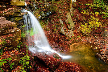 Small forest waterfall in autumn, fall, waterfall, autumn, beautiful, rocks, forest, foliage HD wallpaper