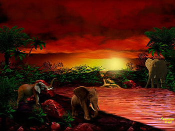 Elephant Spirit, africa, elephants, paciderms, oasis, animals HD wallpaper