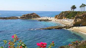 Laguna Beach CA, sand, flowers, ocean, laguna beach HD wallpaper