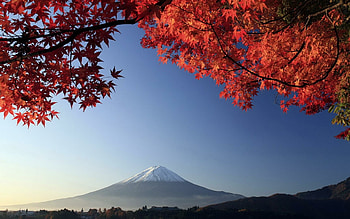 Japan Travels, Japanese autumn HD wallpaper