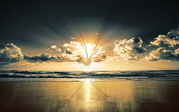 Crepuscule HD wallpaper