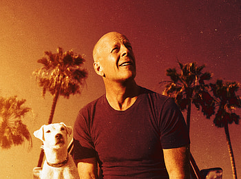 Bruce Willis With Dog In Once Upon A Time In Venice , movies, 2017-movies, once-upon-a-time-in-venice HD wallpaper