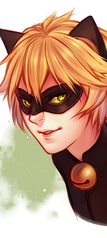 Cat Noir, Miraculous, Adrien Agreste, Ladybug HD phone wallpaper