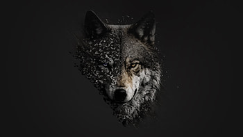 Wolf Minimal , wolf, minimalism, minimalist, artist, artwork, digital-art, dark, black HD wallpaper