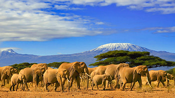 Africa, Safest countries, Travel in 2022, African destinations HD wallpaper