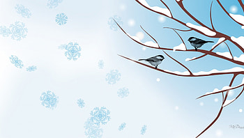 Winter Tree, blue, chickadee, winter, bird, cold, tree, branch, snowflakes, snow, sky HD wallpaper