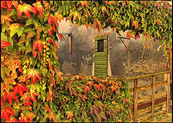 Autumn Leafs, autumn, nature, leafs, house HD wallpaper