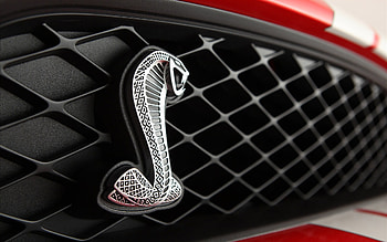 Ford Mustang Shelby Cobra Logo HD wallpaper