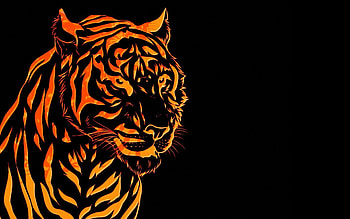 Vector, Lines, Tiger, Graphics HD wallpaper