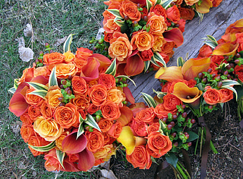 Golden Roses, golden, roses, log, orange, lily HD wallpaper