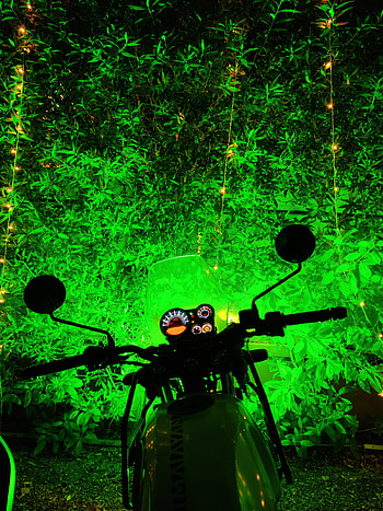 Royal Enfield Himalaya, himalayan, nightclick HD phone wallpaper
