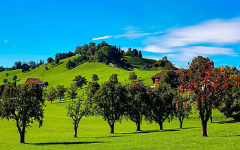 Landscape, Nature, Trees, Grass, Clouds, Hills HD wallpaper