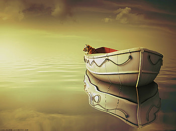 Life of Pi, Richard Parker render, Artistic , High-definition HD wallpaper