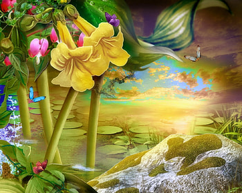 Yellow lilies, Butterflies, Nature, Pond, Lil HD wallpaper