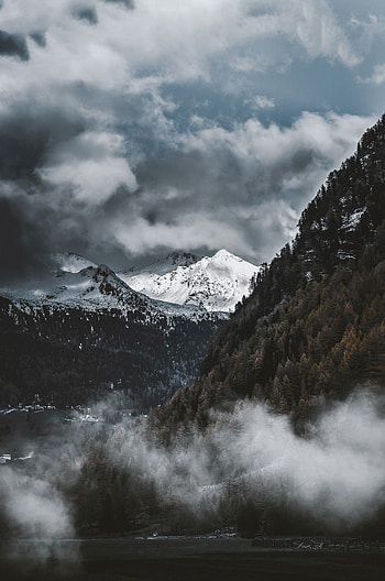 Nature, Trees, Mountains, Vertex, Fog, Tops, Snow Covered, Snowy HD phone wallpaper