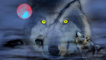 Night of Wolves, howling, wolves, moon, fantasy, art, eyes HD wallpaper