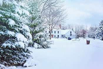 Beautiful snowy neighborhood with frosted trees and a cozy house in winter. HD wallpaper