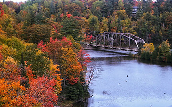 Negaunee c510 Train Bridge, Negaunee, Negaunee c510, Trees, Bridge, Train, Autumn, River HD wallpaper
