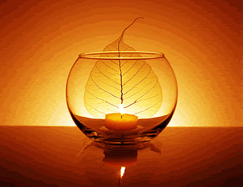 Candle, vase, leaf, color HD wallpaper