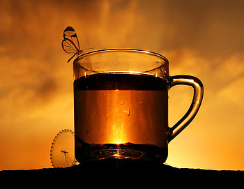 Ice tea for all my DN friends, ice tea, tea, graphy, refreshing HD wallpaper