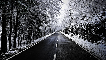Winter Road, Road, Nature, Winter, snow HD wallpaper