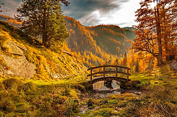 Autumn nature, hills, creek, fall, autumn, bridge, forest, foliage, mountain HD wallpaper