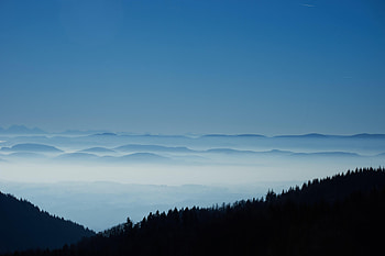 Nature, Forest, Fog, Hills, Dahl, Distance HD wallpaper