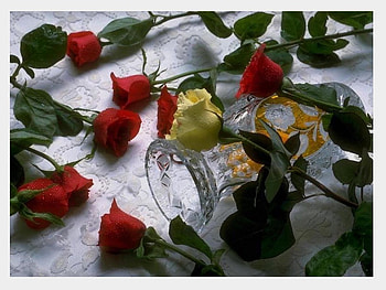 Roses for You, roses, love, red, yellow HD wallpaper