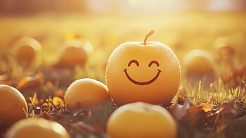 Smiling Sunshine: A Happy Ultra, smiling, Happy HD wallpaper