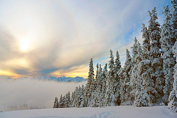 Nature, Trees, Mountains, Snow, Fir, Spruce, Snow Covered, Snowbound HD wallpaper