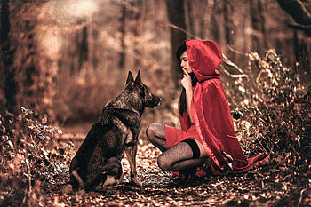 Little Red Riding Hood HD wallpaper