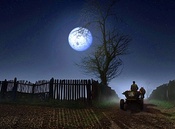 Long day, night, blue, horse, wagon, moon, man, fence, country HD wallpaper