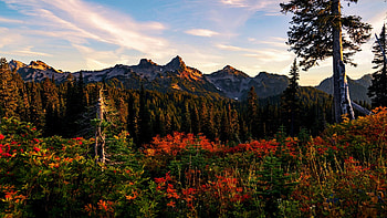 Sunset at Mt. Rainier National Park, fall, washington, peaks, colors, landscape, trees, sky, usa, clouds HD wallpaper