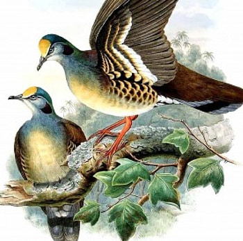 Birds, oil painting, beautiful, painting HD wallpaper