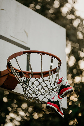 Sports, Basketball, Shield, Sneakers, Grid, Basketball Hoop, Basketball Ring, Scute HD phone wallpaper