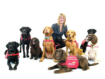 Canine cunning - Medical detection dogs, Heightened sense of smell, Canine, Medical conditions detected, Dogs HD wallpaper