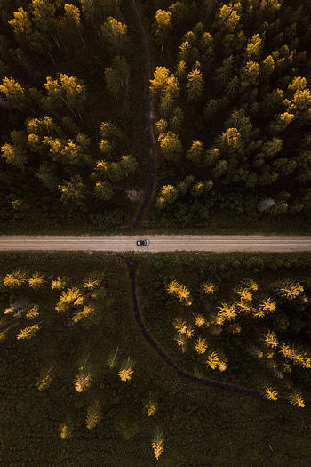 Nature, Trees, View From Above, Road, Forest, Car, Machine HD phone wallpaper