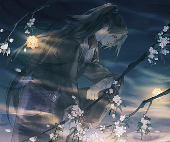 Anime, The Husky and His White Cat Shizun HD wallpaper