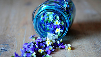 Flowers, Bank, Glass, Jar, Scattered HD wallpaper